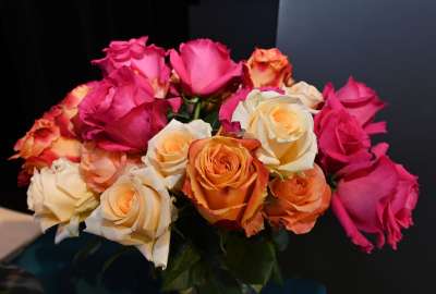 2022-09-03-14-15-19-z6a-7648-dxo-1